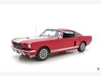 Thumbnail Photo 0 for 1966 Shelby GT350